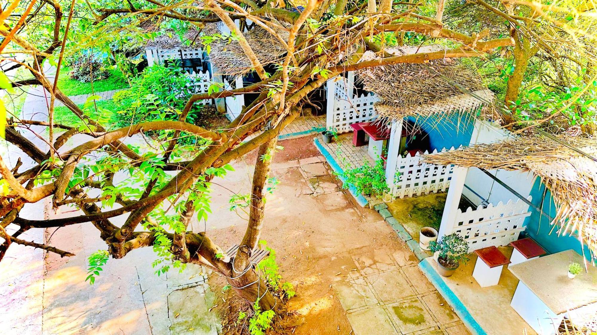 New Peacock Resort Dambulla Exterior foto